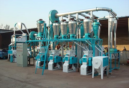 How technological innovations are transforming flour milling industry